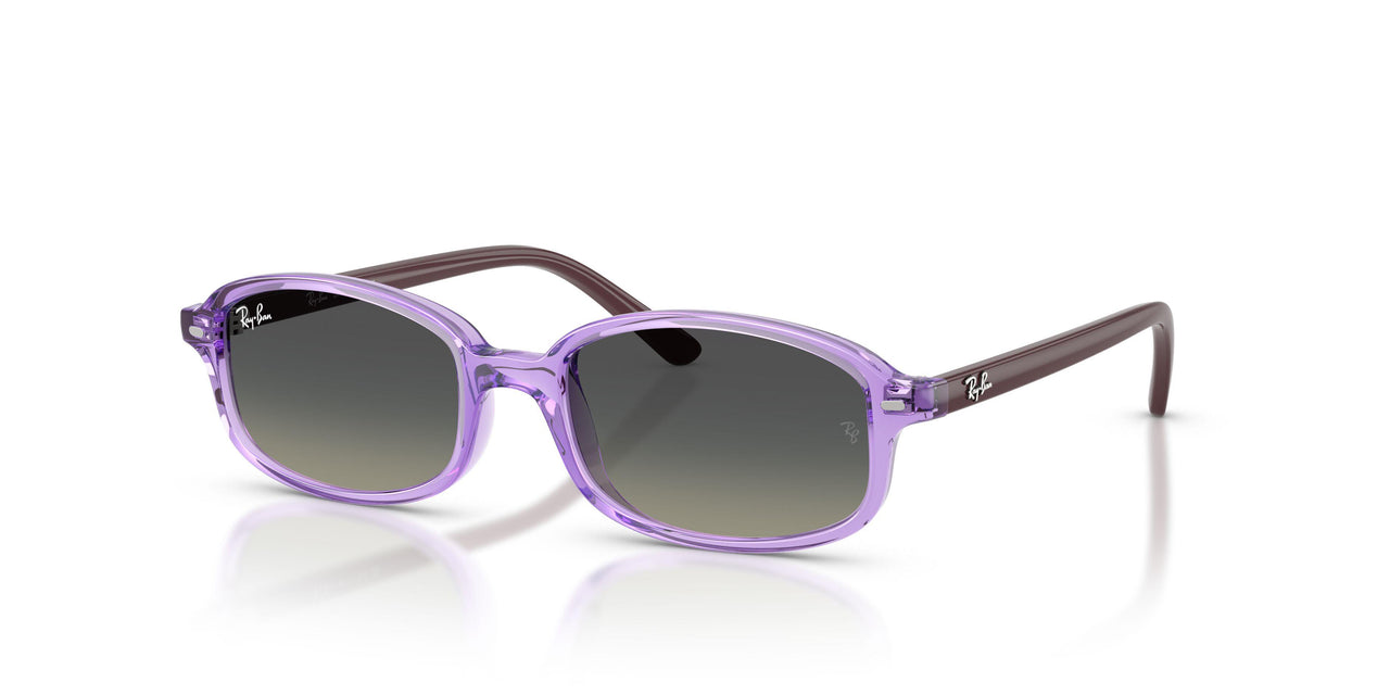 719911 - Violet - Gradient Grey