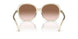 573613 - Brown - Brown Gradient