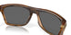 910018 - Brown - Prizm Black Polarized