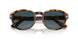 1052S3 - Havana - Blue Gradient Polar