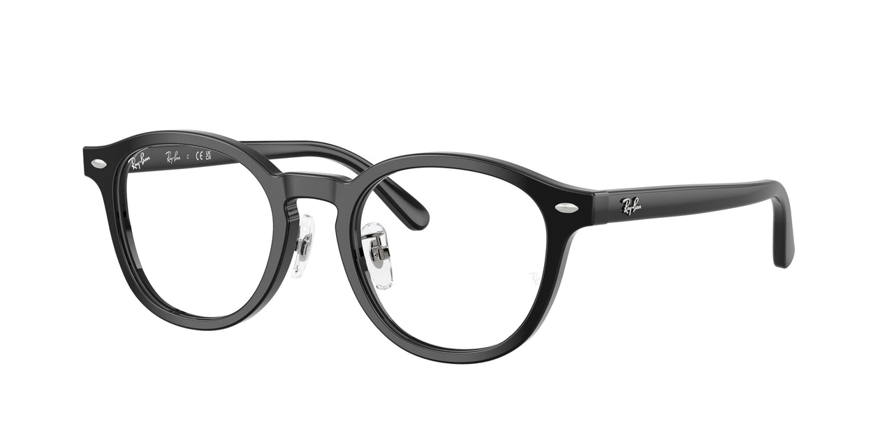 Ray-Ban 5443D Eyeglasses