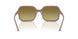 32722A - Brown - Green Gradient Green
