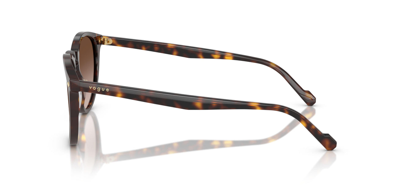 W65613 - Brown - Gradient Brown