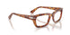 106/GJ - Tortoise - Transitions 8 Green