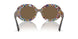 321773 - Tortoise - Dark Brown