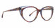 BRBU - Brown/Blue