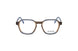 10 - DVO8304. Brown 4821