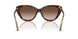 421613 - Brown - Brown Gradient