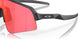 946502 - Grey - Prizm Trail Torch