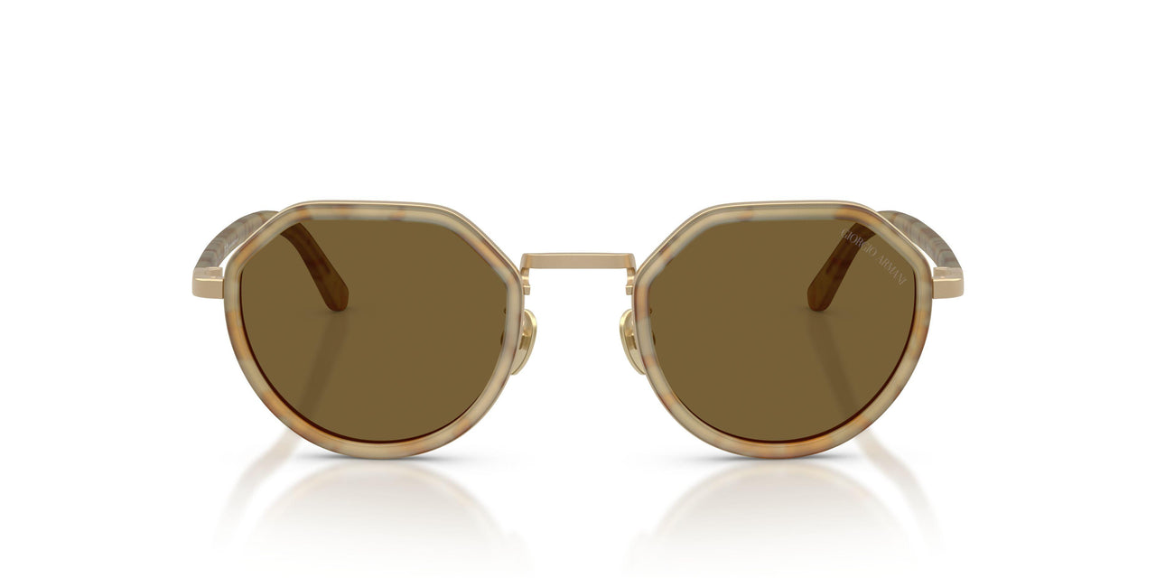 630073 - Tortoise - Dark Brown