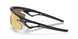 949915 - Black - Prizm 24k Polarized