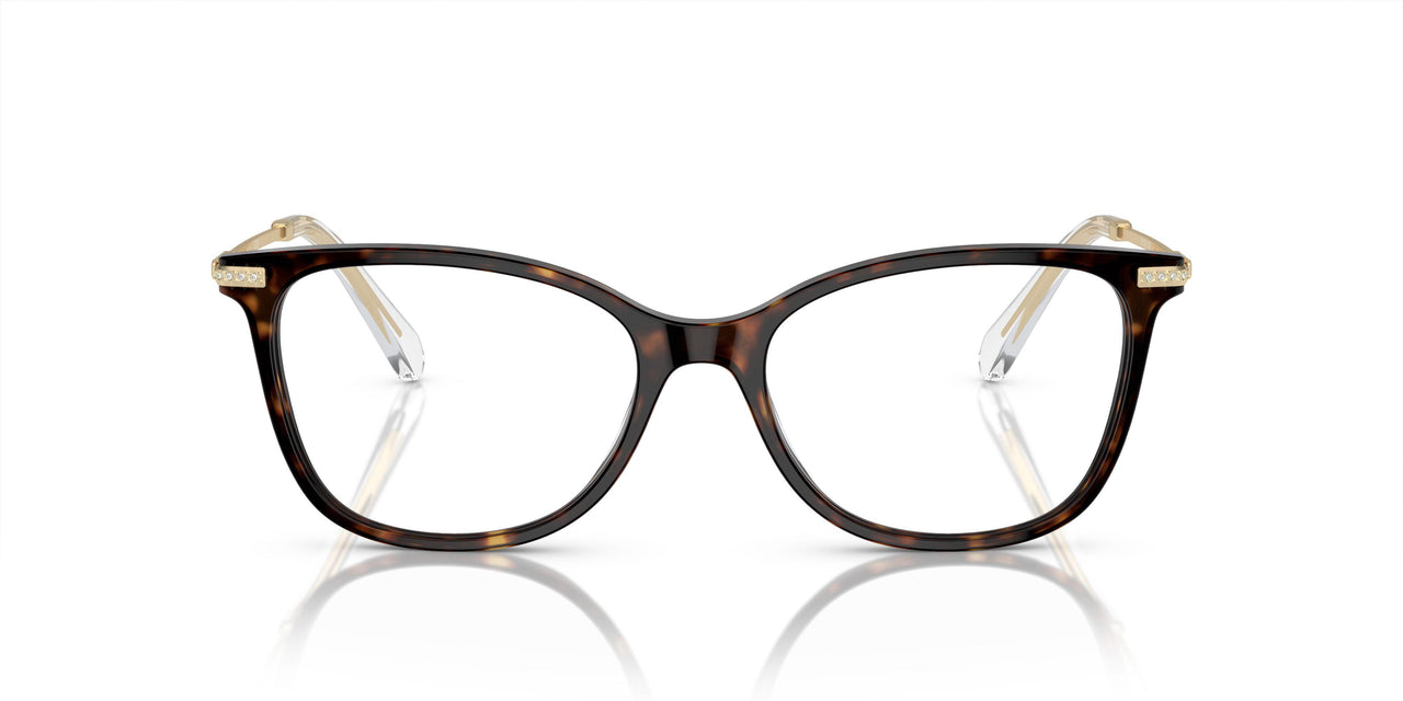 1002 - Brown