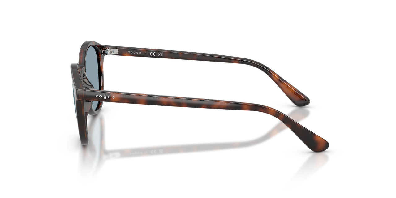271880 - Brown - Light Blue