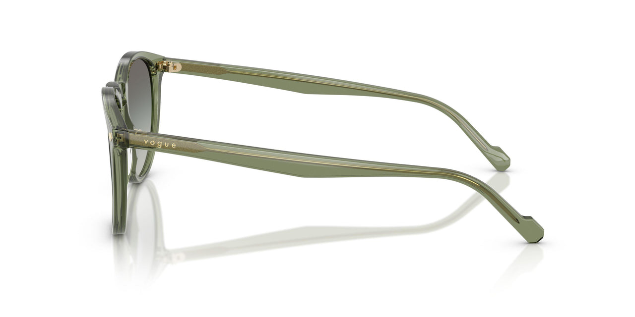 318711 - Green - Gradient Grey