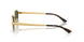 001/9A - Gold - Dark Green Polarized