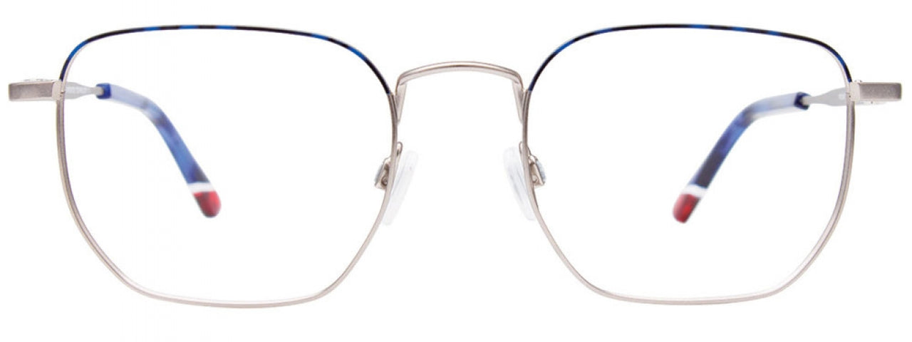 50 - Steel & Blue Tortoise