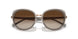 336113 - Gold - Gradient Brown
