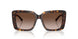 500213 - Tortoise - Brown Gradient