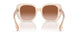 406013 - Pink - Brown Gradient