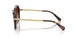 100274 - Tortoise - Gradient Brown