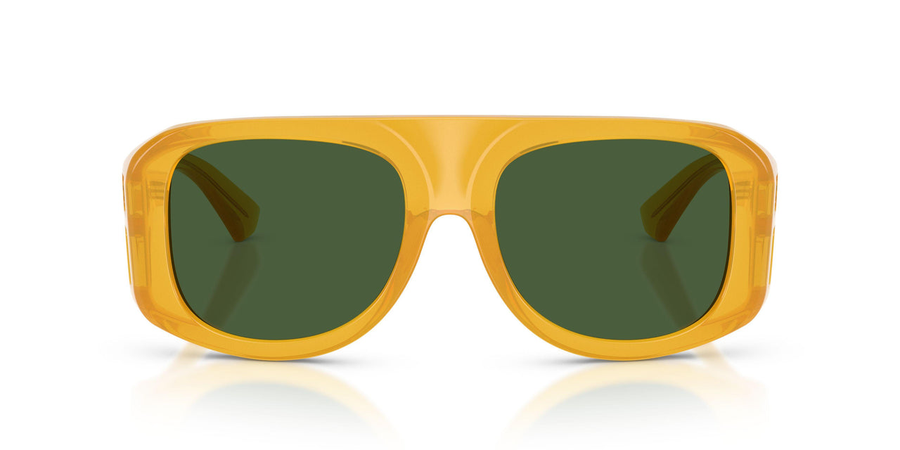 652/71 - Tortoise - Dark Green