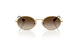 223/13 - Gold - Light Brown Gradient Dark Brow