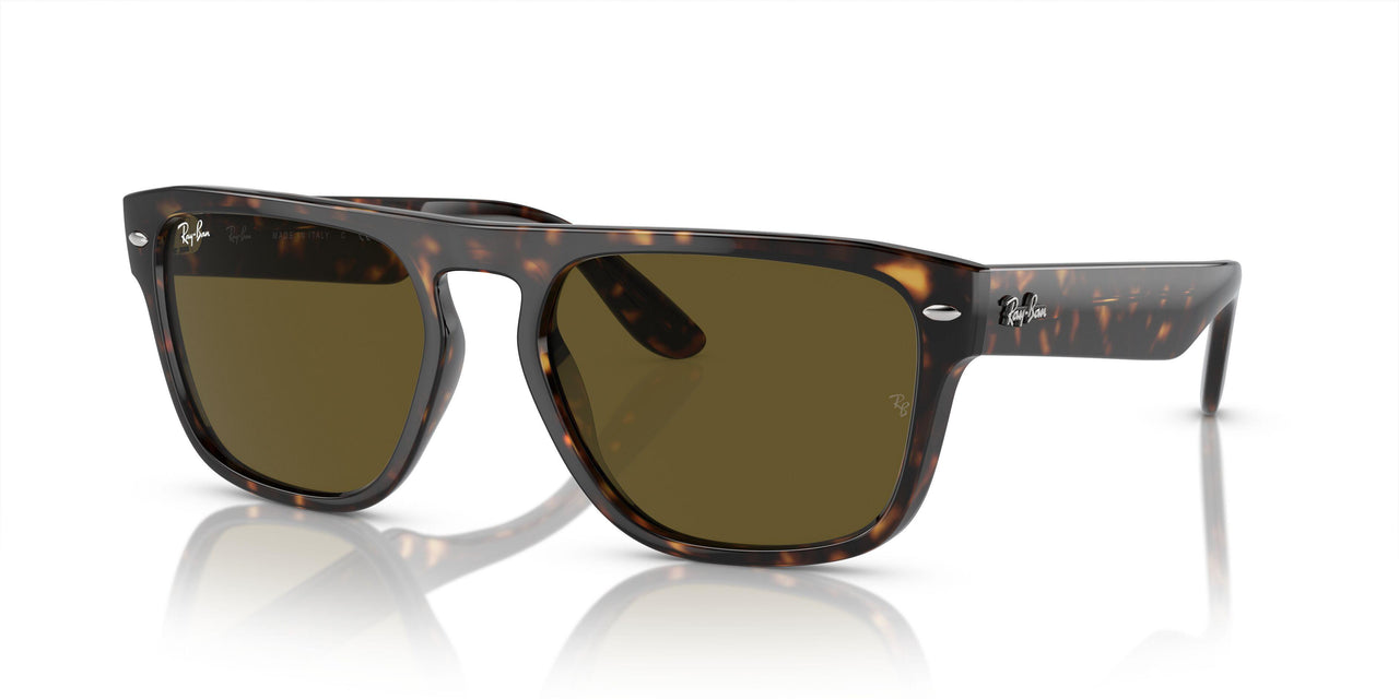 135973 - Tortoise - Dark Brown