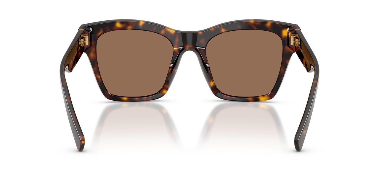 502/73 - Tortoise - Dark Brown