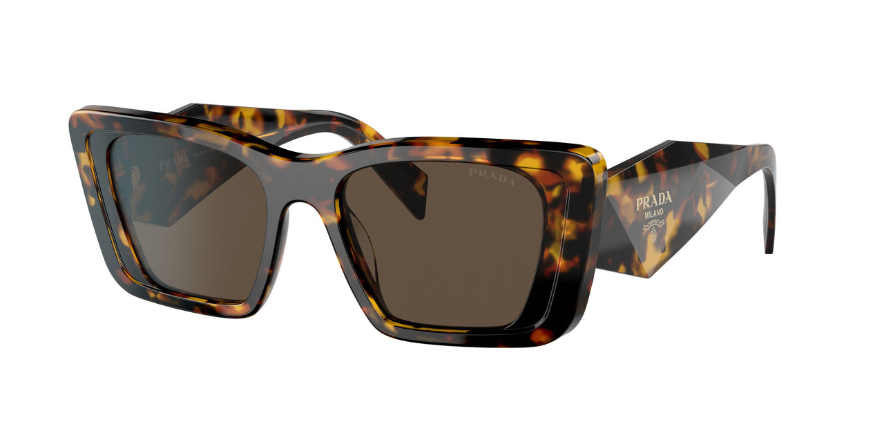01V8C1 - Havana - Dark Brown