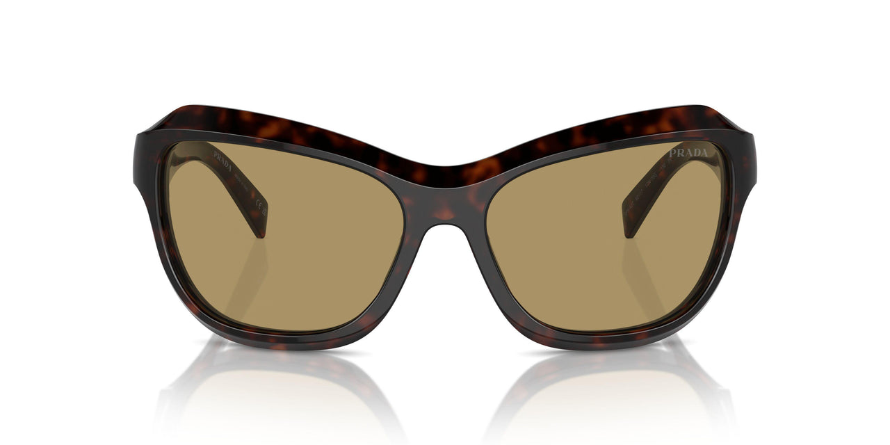 17N70G - Tortoise - Green Olive