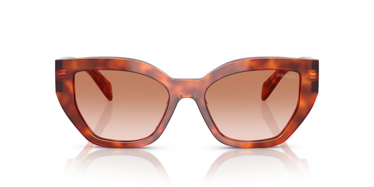 11P70E - Brown - Brown Gradient