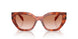 11P70E - Brown - Brown Gradient