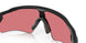 920852 - Polished Black - Prizm Black