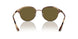 606573 - Brown - Dark Brown