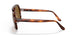 954/33 - Havana - Brown