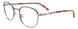 10 - Shiny Demi Amber & Dark Grey