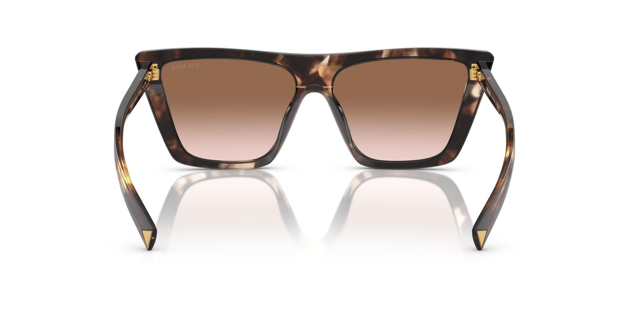 07R0A6 - Tortoise - Brown Gradient