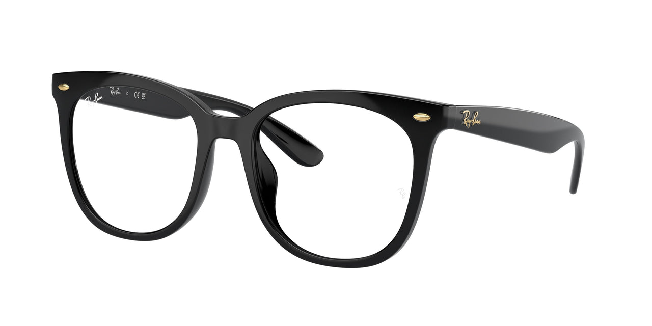 Ray-Ban 4379VD Eyeglasses