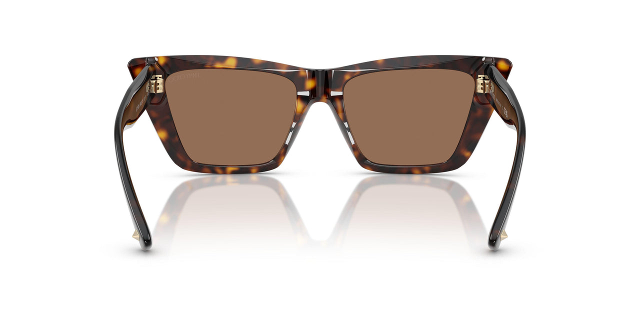 500273 - Tortoise - Dark Brown