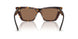 500273 - Tortoise - Dark Brown