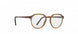 6230 - Havanna Honey