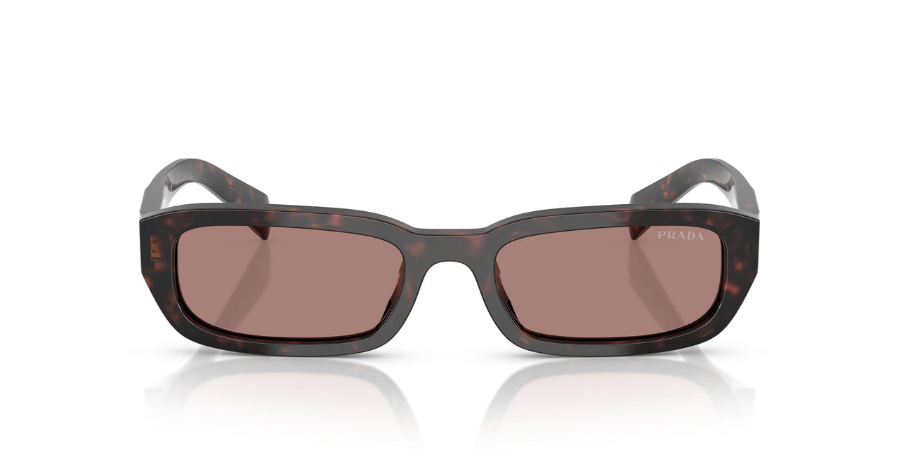 17N60B - Tortoise - Light Brown