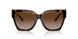 172813 - Havana - Brown Gradient