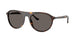 902/B1 - Tortoise - Dark Grey