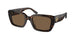 172873 - Tortoise - Dark Brown