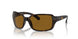 642/33 - Tortoise - Brown
