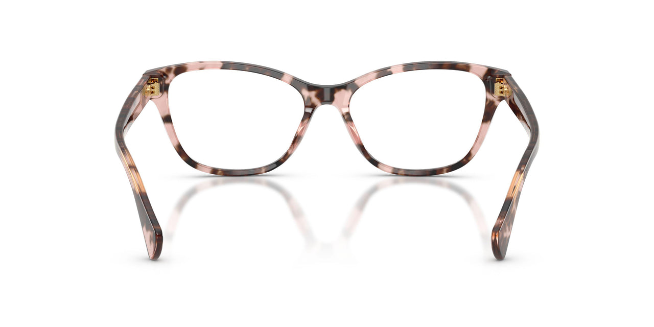 6058 - Tortoise