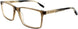 191 - Gloss Cyrstal Brown