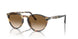 900551 - Tabacco Virginia - Gradient Brown