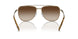 100113 - Grey - Brown Gradient